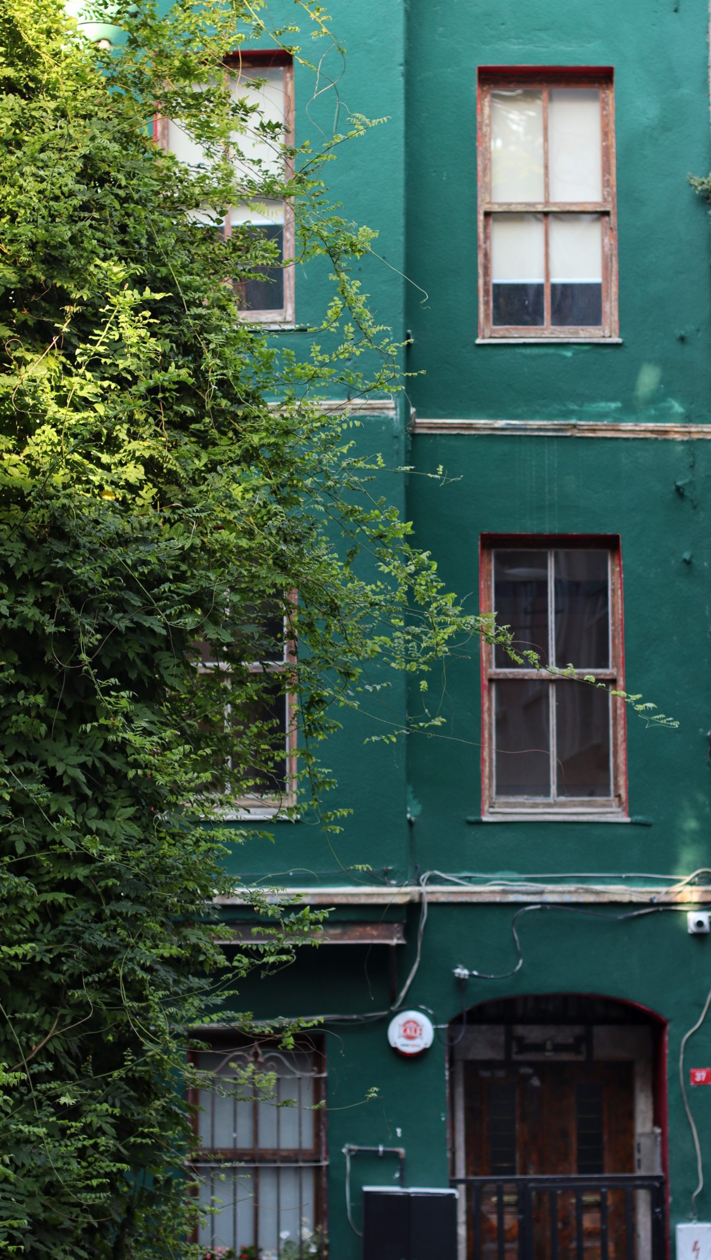 Rénovation énergétique